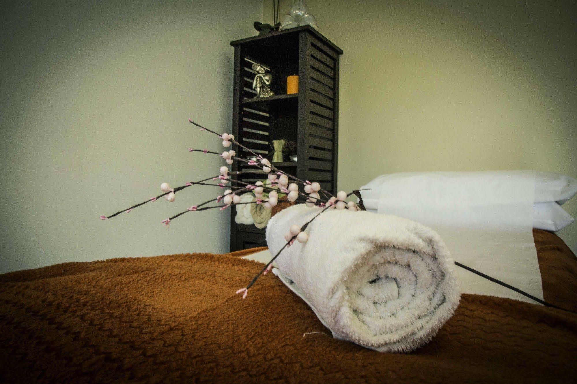 River Mansion Spa Llandysul Eksteriør billede
